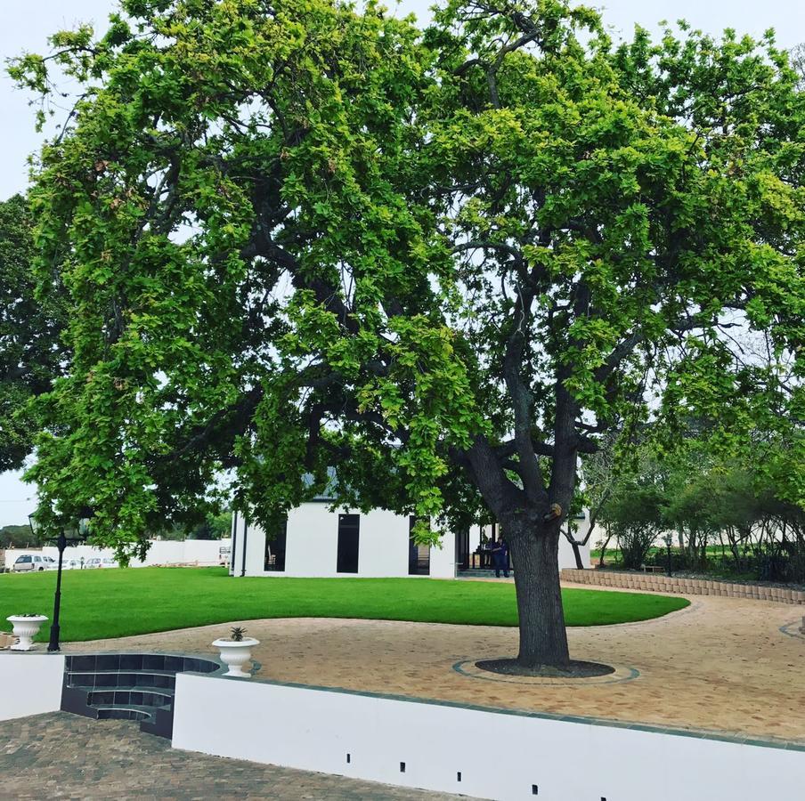 Hoogeind Manor Somerset West